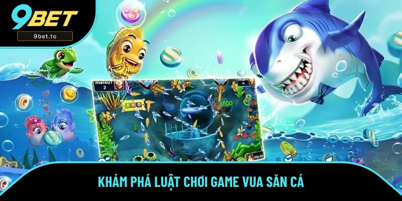 Khám phá luật chơi game Vua Săn Cá Khám phá luật chơi game Vua Săn Cá
