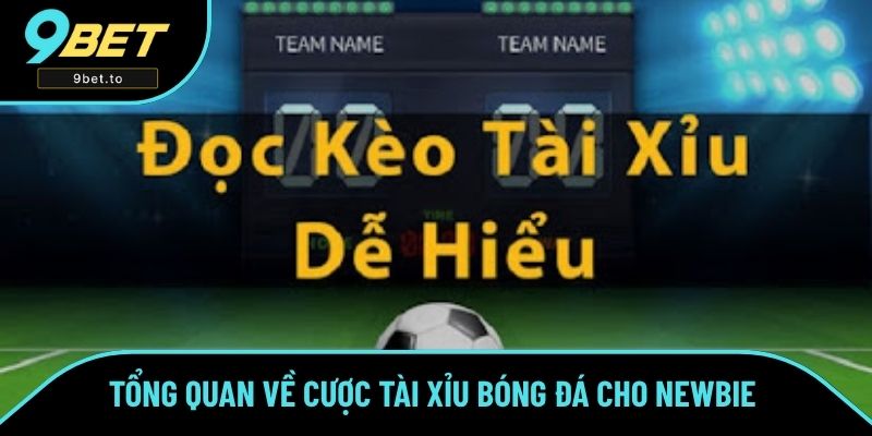 Tổng quan về hình thức cược tài xỉu bóng đá cho newbie Tổng quan về hình thức cược tài xỉu bóng đá cho newbie