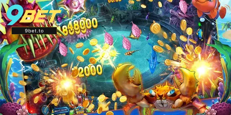 Canh chuẩn thời điểm săn cá giá trị cao