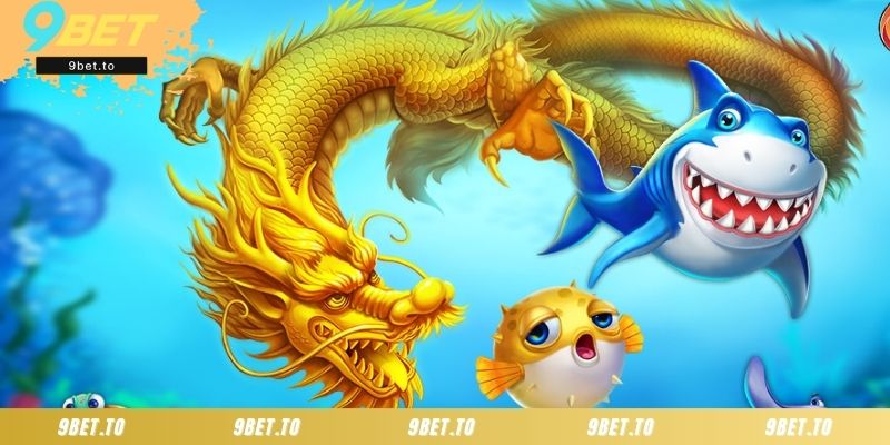 Các bước chơi Bắn Cá Ngũ Long chi tiết nhất